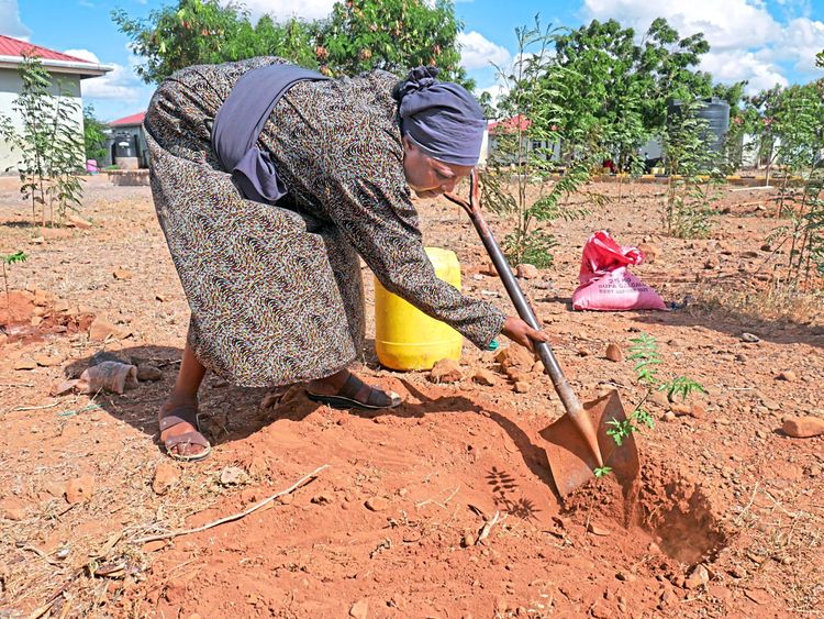 Eine Frau gräbt in Kenia mit einer Schaufel den trockenen Boden um.
