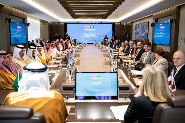 Schneefr-sen-f-r-saudischen-Sand-Wenn-sterreich-in-Saudi-Arabien-nach-Partnern-sucht