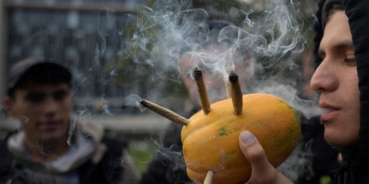 If marijuana is legalized, consumption of alcohol, pills and nicotine will be reduced – world