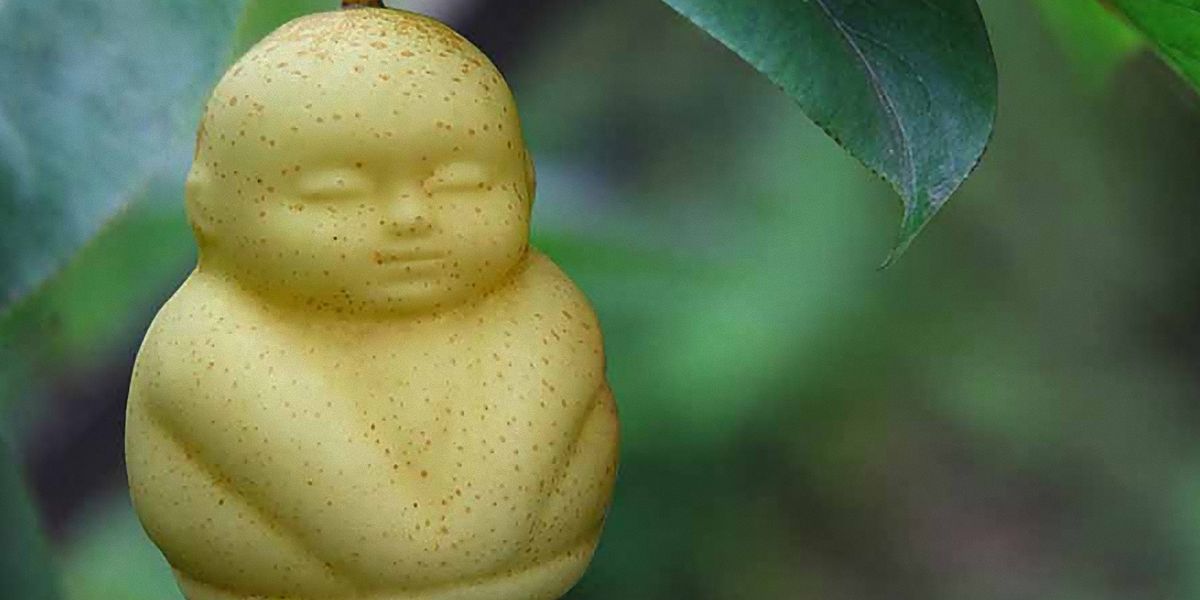 Wer möchte eine Birne in Buddhaform essen? - Welt -  ›  Wissenschaft