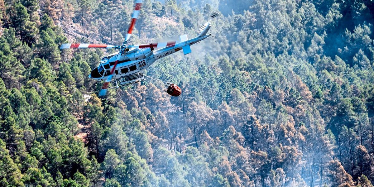 Erster Waldbrand des Jahres in Spanien zerstörte über 4.000 Hektar