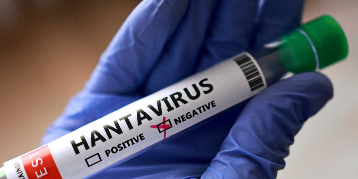 Hantavirus: Schiffsankunft auf Teneriffa wird vorbereitet