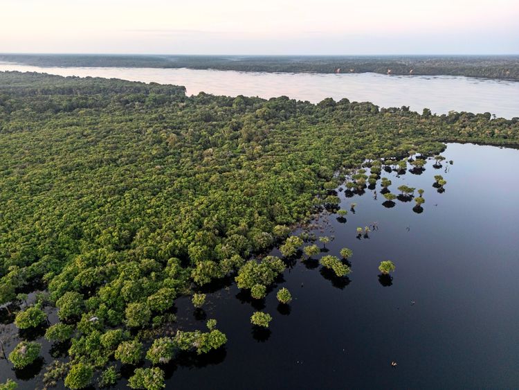 Luftaufnahme des Amazonas-Regenwaldes in Anavilhanas, Novo Airão, Amazonas, Brasilien. Dichter Wald und zahlreiche wasserbedeckte Inseln erstrecken sich bis zu einem breiten Fluss im Hintergrund.