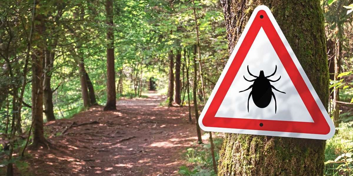 Die Zeckensaison ist bereits gestartet