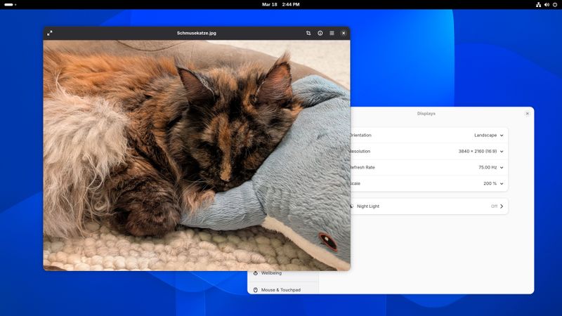 GNOME 50: Der Linux-Desktop marschiert in die Zukunft