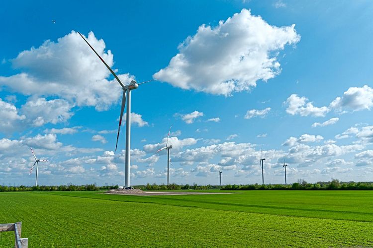 Auf den Feldern in Trumau stehen acht Windräder und 17.888 Photovoltaikmodule.