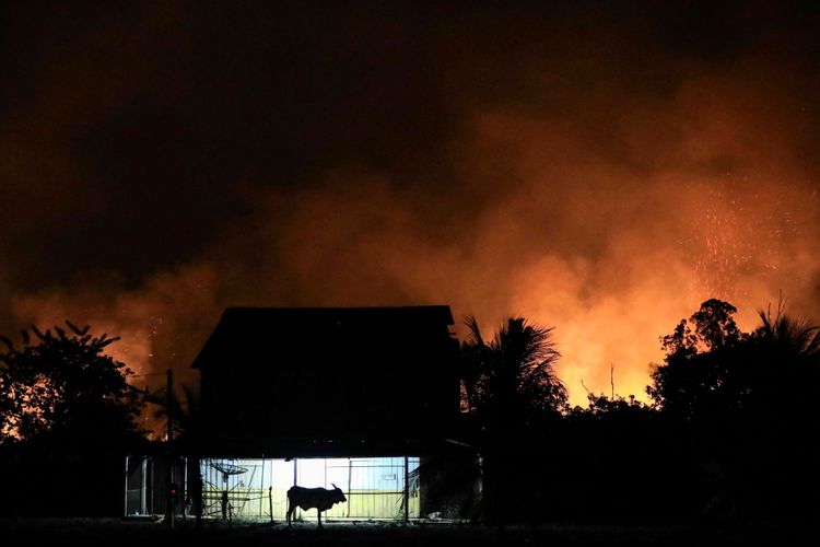 Ein Stier steht vor einem erleuchteten Haus, umgeben von lodernden Bränden im Amazonas-Regenwald. Der Nachthimmel ist orangefarben von Rauch und Feuer, und Bäume im Hintergrund werfen dunkle Silhouetten.