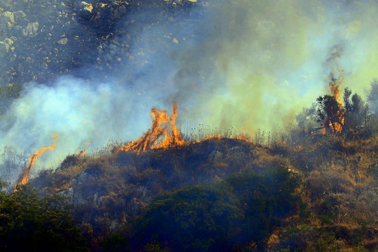 Ein Waldbrand brennt auf einem Hügel mit trockener Vegetation, begleitet von dichter Rauchentwicklung. Flammen lodern aus verschiedenen Stellen, während der Rauch den Himmel einhüllt. Im Vordergrund sind Bäume und Sträucher zu sehen.