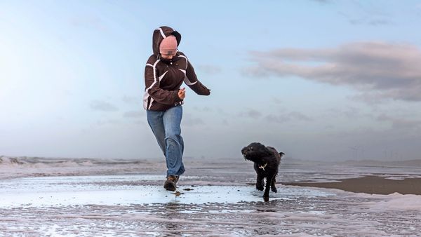 Hunde-sind-heilsam-f-r-die-Psyche-und-Bakterien-k-nnten-dabei-eine-Rolle-spielen