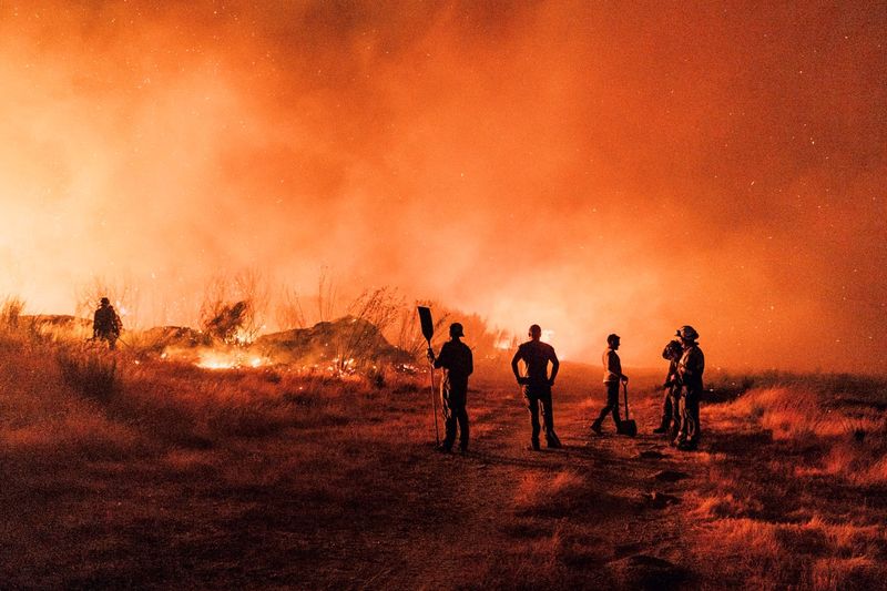 Österreich wird ein Waldbrand-Land – wir müssen uns rüsten und Schlimmeres verhindern