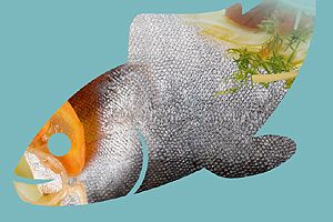 Kochen mit regionalen Fischspezialitäten Rätsel & Sudoku