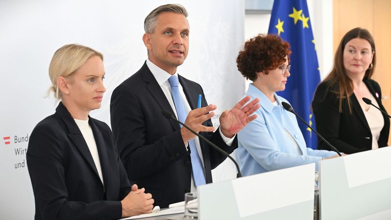 Regierung will Stromanbieter zu Sozialtarif verpflichten