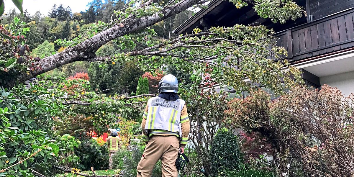 197 km/h wind peaks in Tyrol: man killed by falling tree - weather
