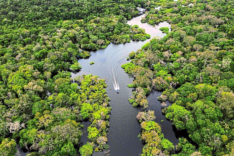 Ein Boot fährt über den Jurura-Fluss. Links und rechts davon ist der brasilianische Regenwald zu sehen.