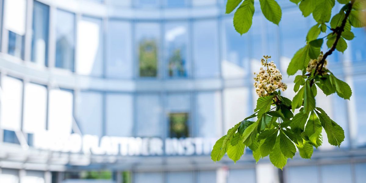 Gemeinsames Bündnis: So gehen die Fachhochschulen den Klimaschutz an