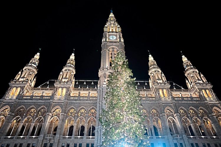 Weihnachtsbaum vor dem Rathaus
