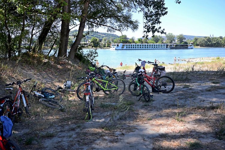 Mehrere Fahrräder stehen im Schatten von Bäumen am Ufer eines Flusses. Im Hintergrund ist ein großes Flusskreuzfahrtschiff zu sehen. Einige Menschen baden oder stehen am Wasser.