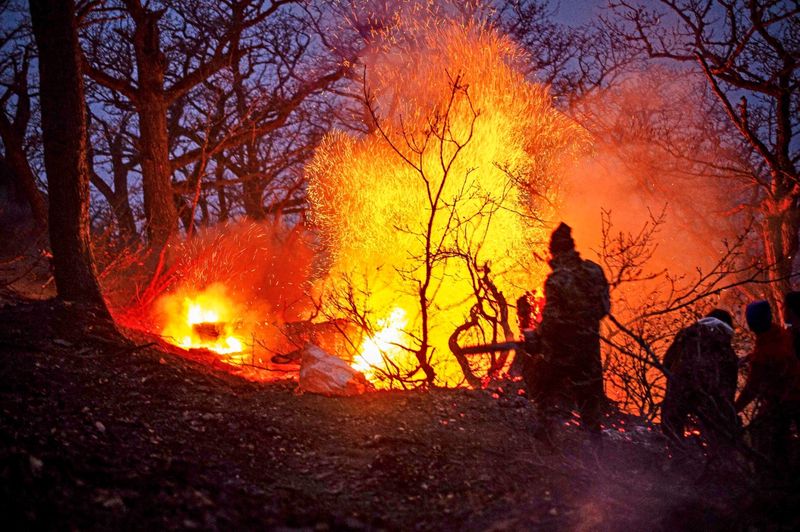 Iran bittet im Kampf gegen Feuer in Unesco-Welterbe-Wald um Hilfe