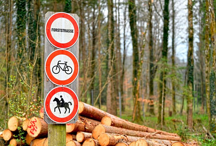 Eine Tafel an einer Forststraße, die das Radfahren und Reiten verbietet.