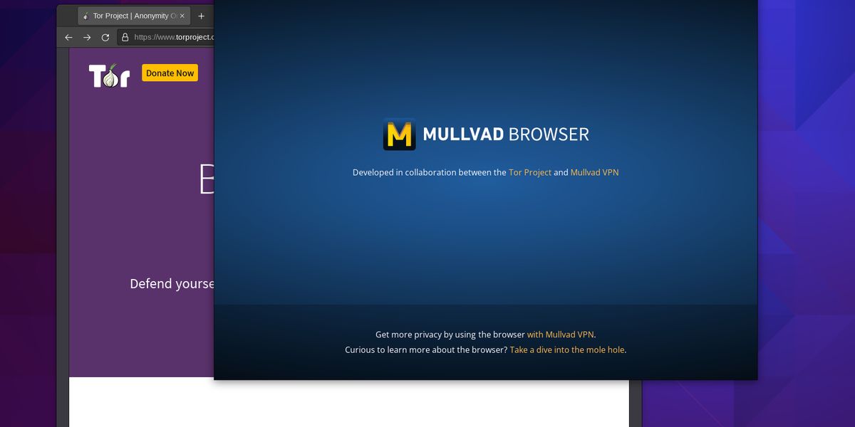 Mullvad Browser for mac instal