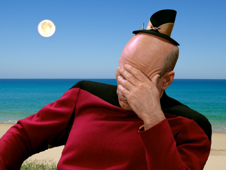 Picard Facepalm am Strand