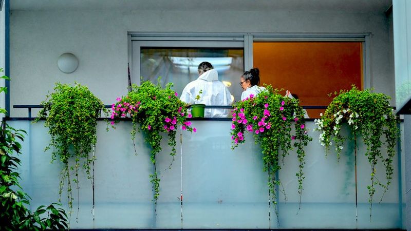 62-Jährige in Wien mit Holzstock totgeprügelt