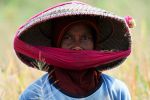 Wetterphänomen El Niño ist zurück Das wiederkehrende Wetterereignis hatte sich bereits seit Monaten angekündigt. Es bringt Extremwetter und eine womöglich rekordhohe globale Durchschnittstemperatur