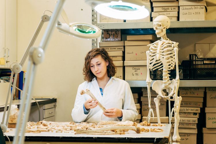 Forscherin Magdalena Srienc-Ściesiek steht vor einem Tisch mit Skelettknochen und hält einen Oberschenkelknochen in der Hand, neben ihr steht ein anatomisches Schauskelett.