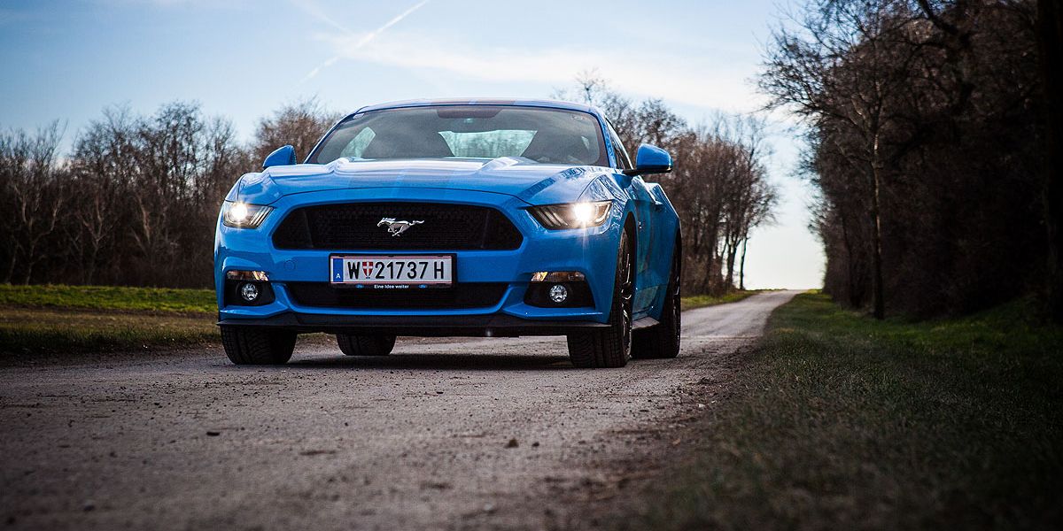 Ford Mustang: Das dicke blaue Pony mit dem ehrlichen Durst 
