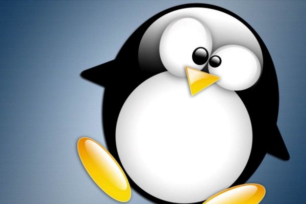 Grafik: Linux Foundation