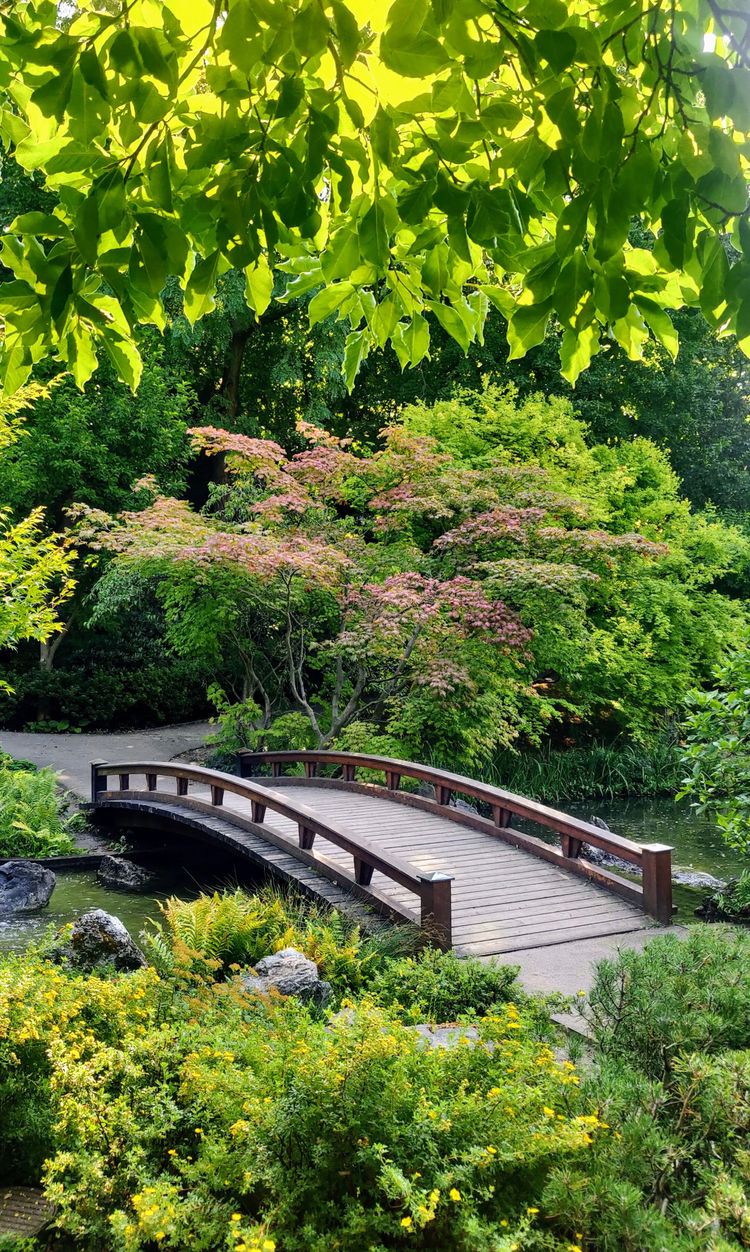 Ein Foto von wunderschönem Park in Wien Döbling. Der Setagayapark. Aufgenommen im August 2023.Eine kleine, japanische Oase inmitten der Stadt Wien.
