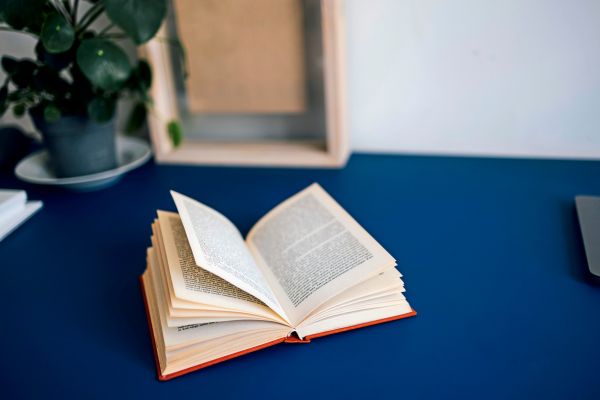 Buch-als-Weihnachtsgeschenk-f-r-Mama-gesucht-