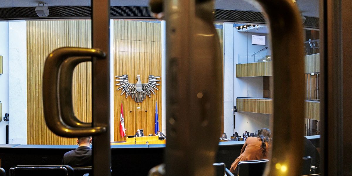 Warum ist der Staat der Parteienfinanzier?