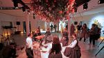 Kunstbiennale in Venedig spaltet Regierung Meloni