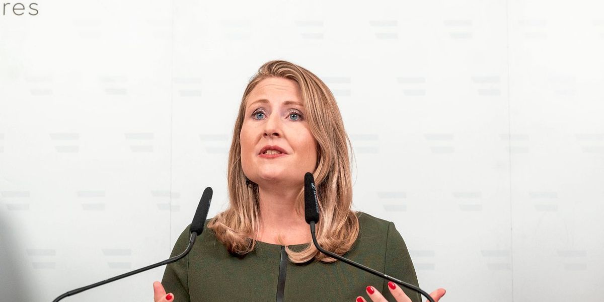 Raab will Integrationsinitiative mit neuen Botschaftern beleben - Vimarsana News