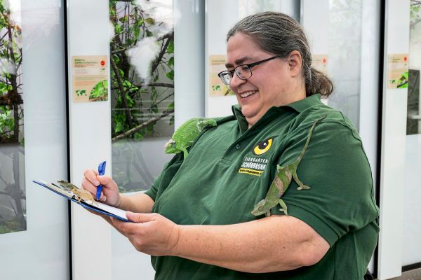 Tiergarten-Sch-nbrunn-machte-Inventur-6-239-Tiere-leben-im-Zoo