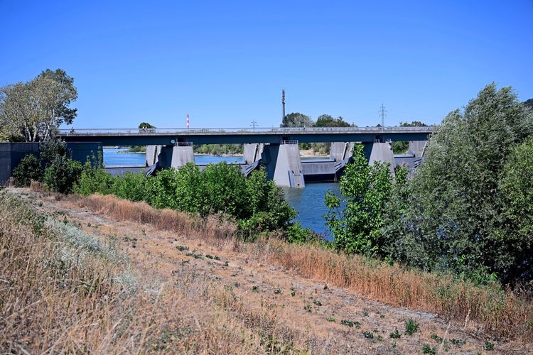Eine Brücke über einen Fluss, umgeben von grünen Bäumen und trockenen Gräsern im Vordergrund. Der Himmel ist klar und blau.