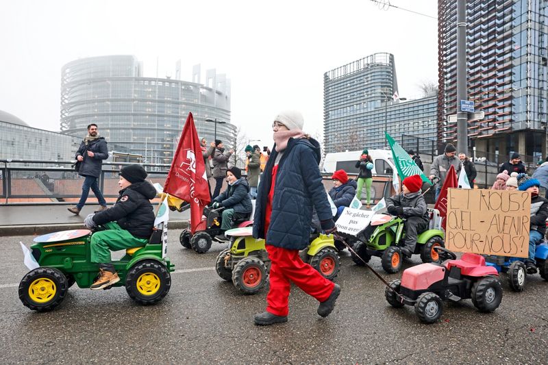 Stolperstart für Mercosur: EU-Höchstgericht prüft Rechtmäßigkeit
