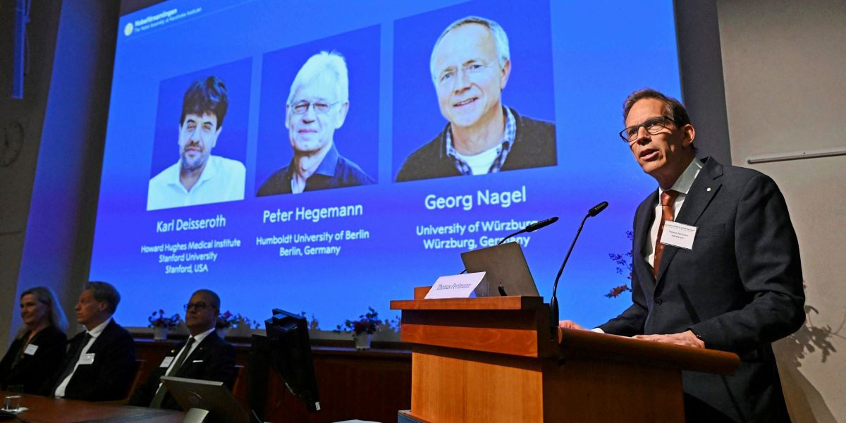 2026 Nobel Prize in Medicine for the control of nerve cells