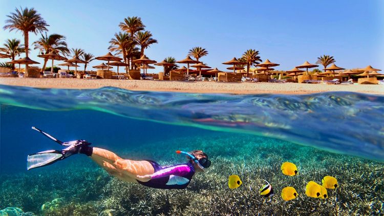 Eine Frau schnorchelt nahe einem tropischen Korallenriff im klaren Wasser. Im Hintergrund sind ein Sandstrand mit Palmen und Strohhütten-Sonnenschirmen zu sehen. Red Sea, Ägypten.