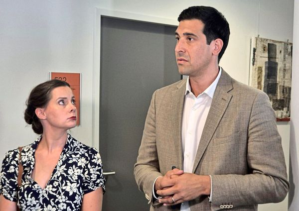 Urteil-gegen-FP-mit-Landeswappen-bebildert-Anzeige-des-Landes-Steiermark-gegen-Bohrn-Mena