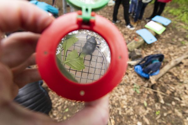 Foto: Christian Fischer