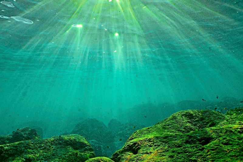 Meere um Europa teils 6 Grad zu warm: Klimawandel ist Haupttreiber