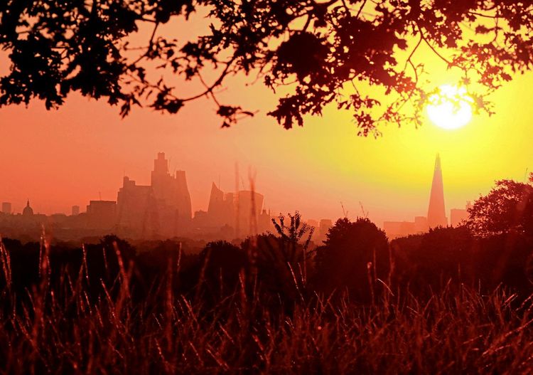 Ein sommerlicher Sonnenaufgang vor einer städtischen Skyline kündigt einen neuen heißen Tag an.