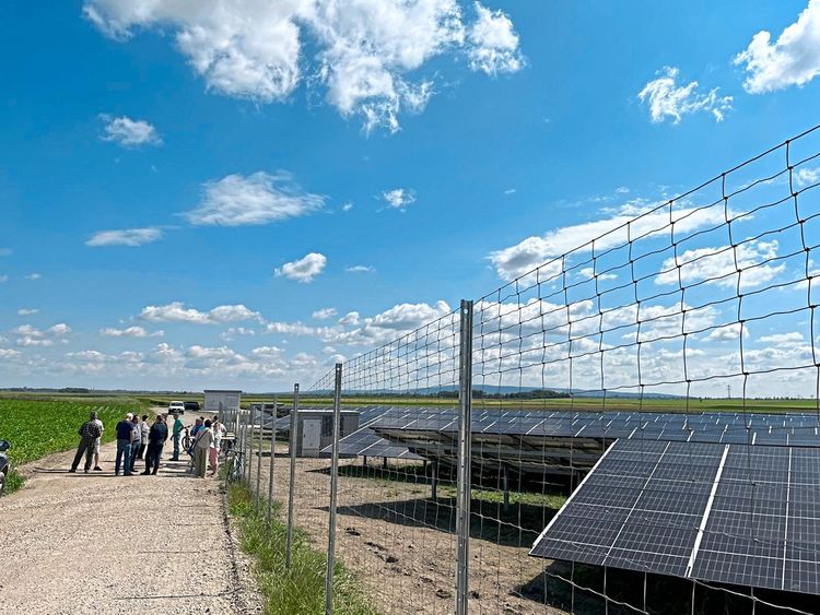 Photovoltaik-Freiflächenanlage in Lichtenwörth, Niederösterreich.
