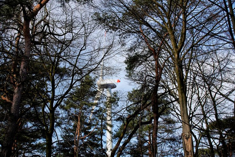 Was macht die Windkraft mit dem Wald?