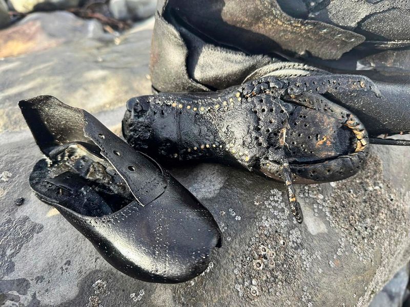Mysterium um Hunderte viktorianische Schuhe, die in Wales angeschwemmt wurden