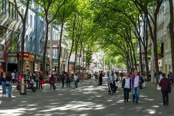 Die-Leiden-der-jungen-Mariahilfer-Stra-e