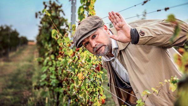 TV-Quoten-f-r-Oktober-ORF-mit-leichtem-Minus-Servus-TV-an-der-Spitze-der-Privaten