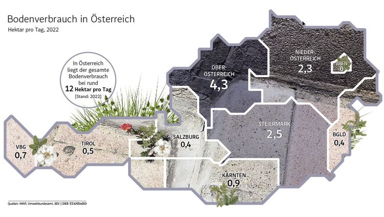 Eine Grafik zum Bodenverbrauch in den einzelnen österreichischen Bundesländern.